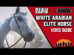 We did not find results for: Red Dead Redemption 2 The Best Horse How To Get The White Arabian Video Guide Xcv Youtube