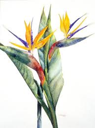 Painting Oil Painting Bird Of Paradise Flower Birds Of Paradise Paradise Painting Paradise Flowers Birds Of Paradise