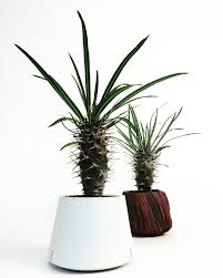 Third Kiln Pad Pop-Up Exhibition Features Chris Mayse