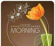 Orange Tulip Good Morning Image Good Morning Thursday Good Morning Thursday Flowers Morning Images