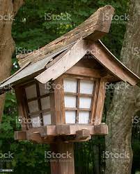 Pin On Japanese Garden Ideas
