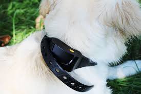 Whether you prefer using static shock, ultrasonic beeps, or vibration, choose what works best for your pooch and stick with it. Wolfwill No Shock Dog Training Collar Review A Gentle Training Option