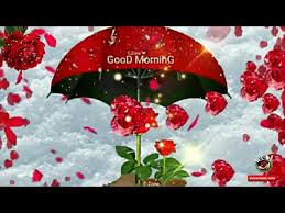A plea for all people to reach out to peaceful muslims with love and respect. New Good Morning Video Subha Bakhair Status Good Morning Whatsapp Satatus Urdu Hindi Youtube