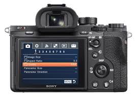 7 Tips And Tricks To Master The Sony A7r Ii Sony A7r Ii Sony Alpha A7r Ii Sony Photography