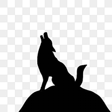 Silhouette De Loup Hurlant Le Loup Des Objets Graphiques Loup Silhouette Fichier Png Et Psd Pour Le Telechargement Libre In 2021 Wolf Silhouette Wolf Clipart Wolf Howling