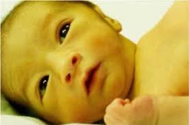 Image result for Harlequin Color Change