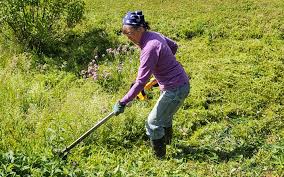 Check spelling or type a new query. Dewalt Folding String Trimmer Dcst922b Review Home Fixated