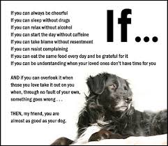 Marietta emergency animal hospitals and clinics. Pin On Beasts
