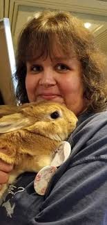 MCRS TEAM — Minnesota Companion Rabbit Society