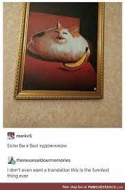 Banana For Scale Funsubstance Tumblr Funny Cat Quotes Funny Funny Memes