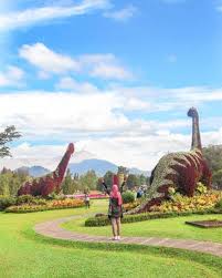 Taman bunga nusantara ini merupakan taman wisata yang memiliki berbagai varian tumbuhan. Taman Bunga Nusantara Review Harga Tiket 2021