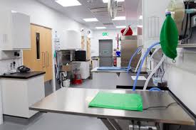 Hilton garden inn doncaster racecourse is located on doncaster racecourse, just 0.5 miles away from the town centre, 3.9 miles from yorkshire wildlife park and 5 miles from doncaster sheffield airport. New Doncaster Vet Practice Opens Doors To Poorly Pets Vetpartners