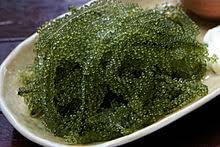 Murdijati gardjito, guru besar teknologi pangan dari ugm, makanan. Masakan Sabah Wikipedia Bahasa Melayu Ensiklopedia Bebas