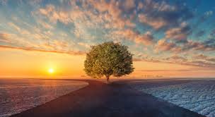 Image result for on the road