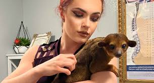 17 Harsh Truths About Luxury Pets That Pet Influencers Won't Tell You