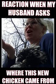 I Was That Little Girl In The Meme Now I M All Grown Up And Still Doing This Crazychickenlady Pet Chickens Crazy Chicken Lady Chickens