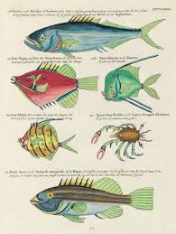 Colourful And Surreal Illustrations Of Fishes And Crab Found In Moluccas Indonesia And The East Indies By Louis Re Fish Illustration Fish Drawings Illustration