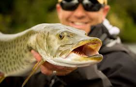 Minnesota outdoors in March is a storm of activity. Here are nine things to  know