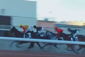 courses de chevaux
