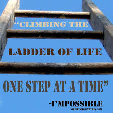 I Mpossible Desire Dream Do By Jeff Griffin Love My Family Memes Book Review