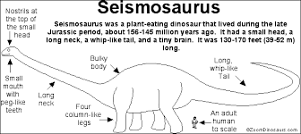 Quick seismosaurus facts weighed as much as 3 trucks seismosaurus was found in new mexico was almost 2 stories high. Seismosaurus Enchanted Learning Software