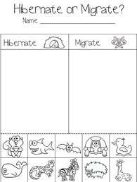 Hibernate Or Migrate Sorting Worksheet Freebie Preschool Science Kindergarten Science Winter Kindergarten