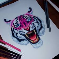 Click here to log in. Color Pencil Drawing Of A Tiger Color Pencil Drawing Ideas
