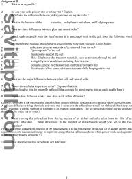 Reader view inside an animal cell the function of the cytoplasm is to support and protect the cells organelles Introduction To The Cell Plant And Animal Cells Pdf Free Download