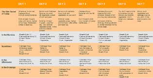 Lose Fat With Healthy Diets An Every Other Day Diet Plan