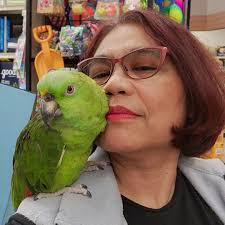 Plastic shelf hangers can fatigue and break