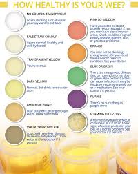 Create an index of colours to call. What Are Urine Color Charts And What Are Their Solutions Quora