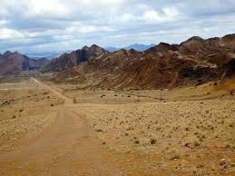 Image result for Pharnaceum brevicaule