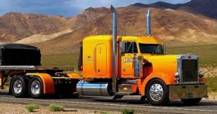 Image result for Yellow 1992 Fleet