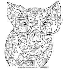Pin On Pigs