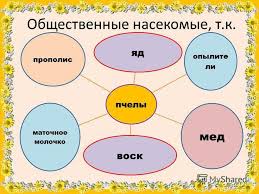 Rainbow English 9 класс учебник читать онлайн 2 часть Velikobritaniya Konspekt Po Istorii 9 Klass Split Second Street Fighter