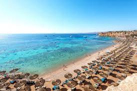 Отель Reef Oasis Beach Resort 5*, Шарм-эль-Шейх, Египет - отзывы 2024,  рейтинг отеля, фото | Купить тур в отель Reef Oasis Beach Resort