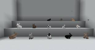 From your shopping list to your doorstep in as little as 2 hours. Rabbits Animania Wiki Fandom