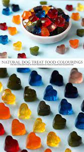 Vegan treats are often the most natural dog treat that you can buy and contain. Homemade Dog Treats Rainbow Gummies Using Natural Colourings For Homemade Dog Treats Dog Treat Recipes Dog Biscuit Recipes Homemade Dog Food