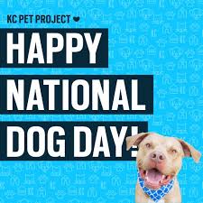 They have a wide variety of animals to adopt. Kc Pet Project Home Facebook