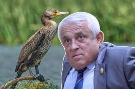 Petre Daea, despre cormorani: Prietenul meu trebuie să părăsească arealul, ne privează de cel puţin 30.000 sau 40.000 de tone de peşte pe an