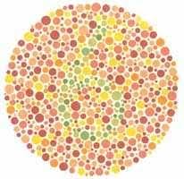 Ishihara Test To Check Color Blindness