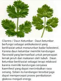 Check spelling or type a new query. 160 Minuman Herbal Ideas Kesihatan Minuman Detox Motivasi Kurus