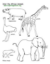 African Animals Coloring Pages Savanna African Animals Coloring Page Exploring Nature Savanna Animals African Savanna Animals Animal Outline