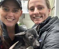 Kara Pollard's Instagram, Twitter & Facebook