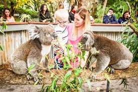 Tripadvisor Perth S Outback Splash General Entry Ticket Provided By Perth S Outback Splash Bullsbrook Swan Valley