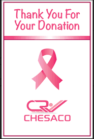 This is based on my decade's worth of experience in marketing and business development roles in the health care sector targeting international markets. Chesaco Rv Steps Up For Breast Cancer Awareness Month Rv Pro