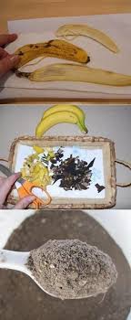 Banana Peel Plant Fertilizer Spray Recipe Fertilizer For Plants Plants Banana Peel