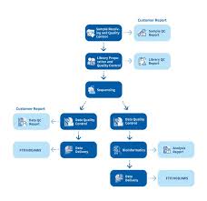 Bioinformatics collection shows a range of bioinformatics software from medigene, your reliable bioinformatics software supplier in malaysia. Service Support Novogene