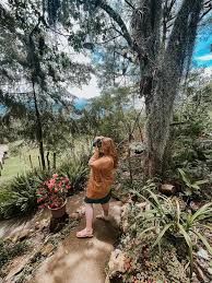 Profile for Ashley Summer Photography