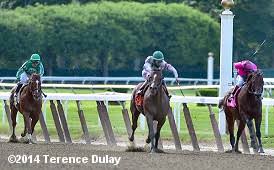 2014 True North Stakes Belmont Gold Cup Results